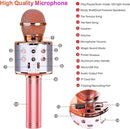 BlueFire 4 in 1 Karaoke Wireless Microphone with LED Lights, Portable Microphone for Kids, Great Gifts Toys for Kids, Girls, Boys and Adults (Pink) by TinyTreasures Baby Boutique
