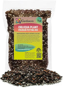 Handcrafted Monstera Obliqua Potting Mix - Optimal Nutrients for Vibrant Growth by Gardenera - 1 Quart by GreenHaven Gardens
