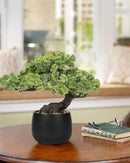 Artificial Bonsai Tree Juniper Faux Plants Indoor Fake Plants Decor with Black Ceramic Pots for Home Table Office Desk Bathroom Shelf Bedroom Living Room Farmhouse Decorations by GreenHaven Gardens