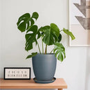 8 Inch Ceramic Plant Pot Large Planter Pot for Plants Indoor Outdoor Glaze Flower Pot with Drainage Hole and Saucer Gray by GreenHaven Gardens