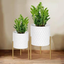 ARNIS Plants Pots with Stand, Set of 2 P lanters, Unique Mid Century Decorative Metal Flower Pots with Drainage, 8.25 & 10.5 Inch, White and Gold by CozyNest Decor