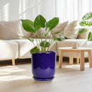10 Inch Plant Pot - Ceramic Pot for Indoor Plants Large Planter Modern Outdoor Flower Pot with Drainage Hole and Saucer for Home Patio Decor Blue by GreenHaven Gardens