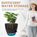 Plant Pots 12/10/9 Inch Self Watering Pots, Set of 3 Plastic Planters with Drainage Holes and Saucers,Plastic Flower Pots,Nursery Planting Pot for Indoor Out Door Plants(Pure Black) by GreenHaven Gardens