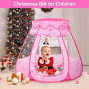 Baby Ball Pit for Toddler with 50 Balls, Kids Pop Up Play Tent for Girls, Princess Toys for Children Indoor Outdoor Playhouse with Carry Bag by TinyTreasures Baby Boutique