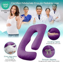 Sasttie Pregnancy Pillows for Sleeping, Jumbo U Shaped Cooling Full Body Pillow with Removable Cover, Pregnant Women Must Haves, Maternity Essential, Purple by TinyTreasures Baby Boutique
