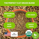ZESTIGREENS Organic Cat Grass Seeds - Non-GMO Blend of Wheat, Oats, Rye & Barley for Indoor Cats | Seeds Come in Food Grade Container with Lid for Easier Scooping & Keeping Fresher (0.5 lb) by GreenHaven Gardens