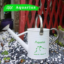 Metal Watering Can for Outdoor and Indoor Plants, Watering Can Decor, 1 Gallon (Aquarius) by GreenHaven Gardens