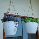8 inch Hanging Planters, 2 Pack Self Watering Hanging Pots with 20oZ Deep Reservoir for Indoor Outdoor Plants Flowers, White by GreenHaven Gardens