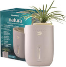 Homedics Natura Ultrasonic Warm & Cool Mist Humidifier, 1.3-Gal for Large Rooms, 60-Hr Runtime, Plant Holder, Programmable Humidity, Auto Shutoff, Nightlight Small Plant Compatible(Plant Not Included) by TinyTreasures Baby Boutique