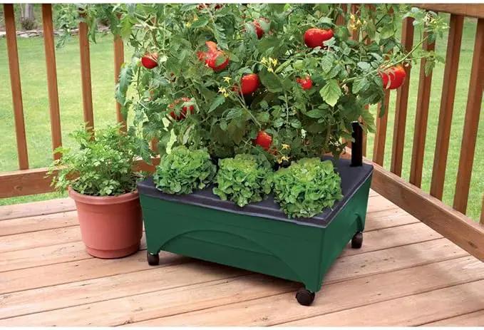 Emsco Group 2341-1HD City Picker Raised Bed Self Watering and Improved Aeration – Mobile Unit with Casters-Hunter Green Grow Box and Seed Starter, photo 2 of 4