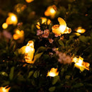 Solar Bee String Lights Outdoor 31FT 50 LED Honeybee Fairy Lights with 8 Lighting Modes, Waterproof Solar Bumble Bee for Patio Yard Garden Grass Wedding Christmas Party Decor, Warm White by GreenHaven Gardens