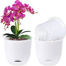 QCQHDU 2 Pack Orchid Pots with Holes for Repotting, Double-Layer and Self Watering Orchid Pot with Good Air Circulation by GreenHaven Gardens