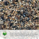 Seed Needs, Italian Herb Seed Packet Collection (5 Individual Seed Varieties for Planting) Non-GMO & Untreated - Oregano, Basil, Rosemary, Sage and Parsley by GreenHaven Gardens