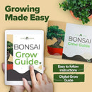 Bonsai Tree Kit - Gifts for Men & Women (Master Kit) by GreenHaven Gardens