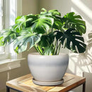 10 Inch Ceramic Planter Pot - Large Plant Pot with Drainage Hole and Saucer Round Flower Pot for Indoor Plants, White by GreenHaven Gardens