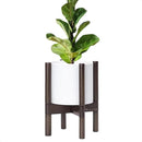 D'vine Dev Planter Pot with Stand - 8 Inch Plastic Cylinder Flower Pot with Wood Planter Holder for Indoor, Matte White Pot + Walnut Color Stand, 55-C-I-1 by GreenHaven Gardens