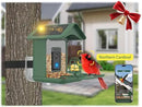 Smart Bird Feeder with Camera, AI Species Identify, Dual Solar Powered Birdfeeder Cam for Outside IP65 with 2.4GHz WiFi, 2K HD Auto Capture Birds Video for Bird Lover (Green) by CozyNest Decor