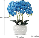 Orchid Artificial Flowers with White Vase Large Silk Faux Phalaenopsis Flowers for Dining Room Table Floral Centerpieces Indoor Decoration,Blue by CozyNest Decor