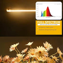 One Strip Growing lamp 2-Pack, Full Spectrum LED Grow Light Strips for Indoor Plants with Auto ON/Off Timer & 4 Dimmable Levels, for Green House Hydroponics Succulent (One Strip×2pcs)
