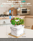 Indoor Herb Garden Growing System Kit, 6 Pods Hydroponics System with LED Grow Light, Hydroponic Planter for Home Kitchen Windowsill, White by GreenHaven Gardens