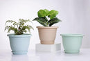 5 Packs 10 inch Plant Pots + Saucer, Planters for Indoor & Outdoor Plants with Drainage Holes | Plastic Flower Pots, Large Planter (Light Green, 10 inch) by GreenHaven Gardens