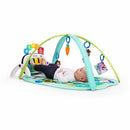 Baby Einstein Farm Explorers 4-in-1 Kickin’ Tunes Musical Meadow Music & Language Discovery Gym, Ages 0 Months and Up by TinyTreasures Baby Boutique