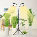 LORDEM Grow Light for Indoor Plants, Dual-Head Plant Light for Plants Growing, Full Spectrum Growth Lamp with Auto Timer for 4/8/12H, 4 Dimmable Levels, 144 LEDs, Height Adjustable Stand 24.4"- 67" by GreenHaven Gardens