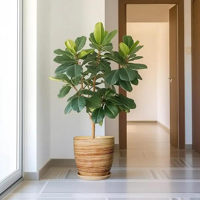 12 Inch Planter Pot Ceramic Plant Pots for Plants with Drainage Hole and Saucer Large Flower Pot for Home Patio Garden Office Yellow, photo 5 of 7