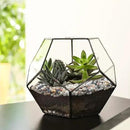 2.5 lbs Small Rocks for Plants, 1/5 Inch Pebbles for Indoor Plants, Natural Decorative Pea Gravel for Aquarium, Fish Tank, Terrarium, Succulents, Bamboo Plants, Vases, Cactus, Crafts by CozyNest Decor