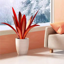 TOMBABY Enlarge Thickened Wind Resistant Metal Agave Garden Art Metal Plant Country Garden Sculpture Statue Outdoor Decoration Agave Metal Plant Courtyard Garden Lawn Ornament Gift (1, 12 Leaves red) by CozyNest Decor