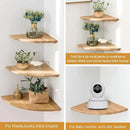 Corner Shelf, 12inch Solid Oak Wood Floating Corner Shelves Wall Mount Round End Floating Speaker Shelf with Wire Hole for Small Plant Photo Frame for Bedroom Kitchen, Living Room by CozyNest Decor