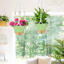 ZMTECH 2 Pack 10 Inch Hanging Planters with Macrame Plant Hanger for Indoor and Outdoor Plants, Self Watering, Drainage Hole, Visible Level Tray, Green by GreenHaven Gardens