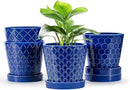 EFISPSS Ceramic Plant Pots, 5Inch Pots for Indoor Plants, Planters with Drainage Holes and Ceramic Tray,Plant Lover Gift, Desktop Office Windowsill Decoration Gift Set of 4 - Blue by GreenHaven Gardens