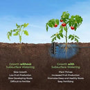 Jr (2 Pk) - Deep Underground Dripper, Tree & Plant Root Watering Drip Irrigation & Fertilizer Stake (1/2" Female NPT Compatible with All Connectors, Water Hose, Drip & PVC) by GreenHaven Gardens