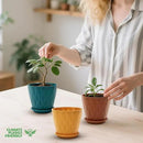 4 inch Plant Pots, 5 Pack Flower Pots Outdoor Indoor, Planters with Drainage Holes and Tray Saucers（（Multicolor） by GreenHaven Gardens