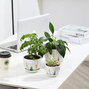 Ceramic Plant Pots with Drainage Holes and Saucers, Round White Flower Pots for Indoor Plant, Diameter 3.3/4.3/5.5 Inches Small Flower Planters Set of 3 by CozyNest Decor