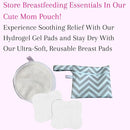 New Mom Postpartum Breastfeeding Essentials Kit for Nursing Mama, Lactation Tea, Silicone Breast Pump, Reusable Breast Pads, Pain Relief for Sore Cracked Nipples, Spa and Relaxation Basket Box Set by TinyTreasures Baby Boutique
