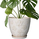 Ceramic Pots for Plants - 8 Inch Plant Pot with Drainage Hole and Saucer Large Planter Pot for Indoor Plants Outdoor Modern Flower Pot Home Decor White by CozyNest Decor