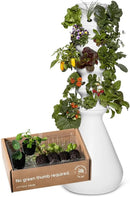 Farmstand Starter Kit + 30 Seedling Credits | Family Hydroponic Growing System Kit | Self-Watering Outdoor Vertical Garden Planter Tower | 5ft 5in | Made in USA by GreenHaven Gardens