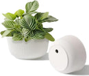 T4U 10 Inch Self Watering Pots for Indoor Plants, Plastic Plant Pots with Drainage Hole, Large Flower Pots for Indoor Outdoor Plants Cactus, Garden, Set of 2, White by GreenHaven Gardens