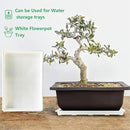 5 Pack Nursery Pot Tray, Carrying and Holding Plant Tray for Pot 24 Cell Carrying Holder Drainage Watering Plant Tray (White) by GreenHaven Gardens