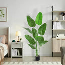 Faux Bird of Paradise Silk Artificial Plant Faux Banana Leaf Tree for Home Decor Indoor Floor Plant with 11 Trunks (1, Black Planter, 6.6 FT) by CozyNest Decor