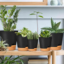 GARDIFE Plant Pots 7/6.5/6/5.5/5 Inch Self Watering Planters with Drainage Hole, Plastic Flower Pots, Nursery Planting Pot for All House Plants, African Violet, Flowers, and Cactus,Black by GreenHaven Gardens