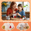 RUQKNO Crochet Kit for Beginners， 2 Pcs Hamster Amigurumi Crochet Animal Kit with Step-by-Step Video Tutorials, Easy-to-Learn Beginner Crochet Kit for Adults & Kids, All-in-One Craft Supplies by TinyTreasures Baby Boutique