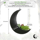 Hanging Moon Planter for Moon Room Decor - Great for Succulents, Air Plant, Mini Cactus, Faux, Artificial Plants-Boho Hanging Planters for Indoor Plants, Witchy Gifts for Women, Birthdays,Plant Lovers by GreenHaven Gardens
