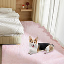 Ultra Soft Rug for Living Room, 4X6 Fluffy Shag Area Rug for Bedroom, Modern Shaggy Carpets Fuzzy Rug for Teens Dorm Nursery Home Decor Aesthetic, Upgrade Anti-Skid Durable, Pink by TinyTreasures Baby Boutique