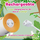 brush-baby WildOnes™ Rechargeable Kids Electric Toothbrush – Koala | Flashing Lights, 2-Min Timer, Waterproof, 3 Brush Heads | Toddler & Child Toothbrush Ages 0-10 | Soft Bristles by TinyTreasures Baby Boutique