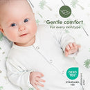 Sweety Fox 2-Pack Cotton Jersey Crib Sheets – Soft Fitted Sheets for Boys and Girls, Mini Crib Sheets, Toddler Bed Sheets (Dinosaur) by TinyTreasures Baby Boutique