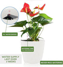 Dexceder 13x12 Self Watering Planters Indoor, Inner Mat Design, Floor Standing Flower Plant Pot with Water Level Indicator (2 Pack, White) by GreenHaven Gardens