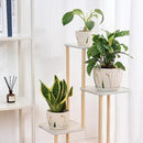 4/5/6 Inches Ceramic Plant Pots with Drainage Holes and Saucers, Round Flower Pots for Indoor Plant, Small Flower Planters Set of 3 (White Floral-Big Size) by CozyNest Decor